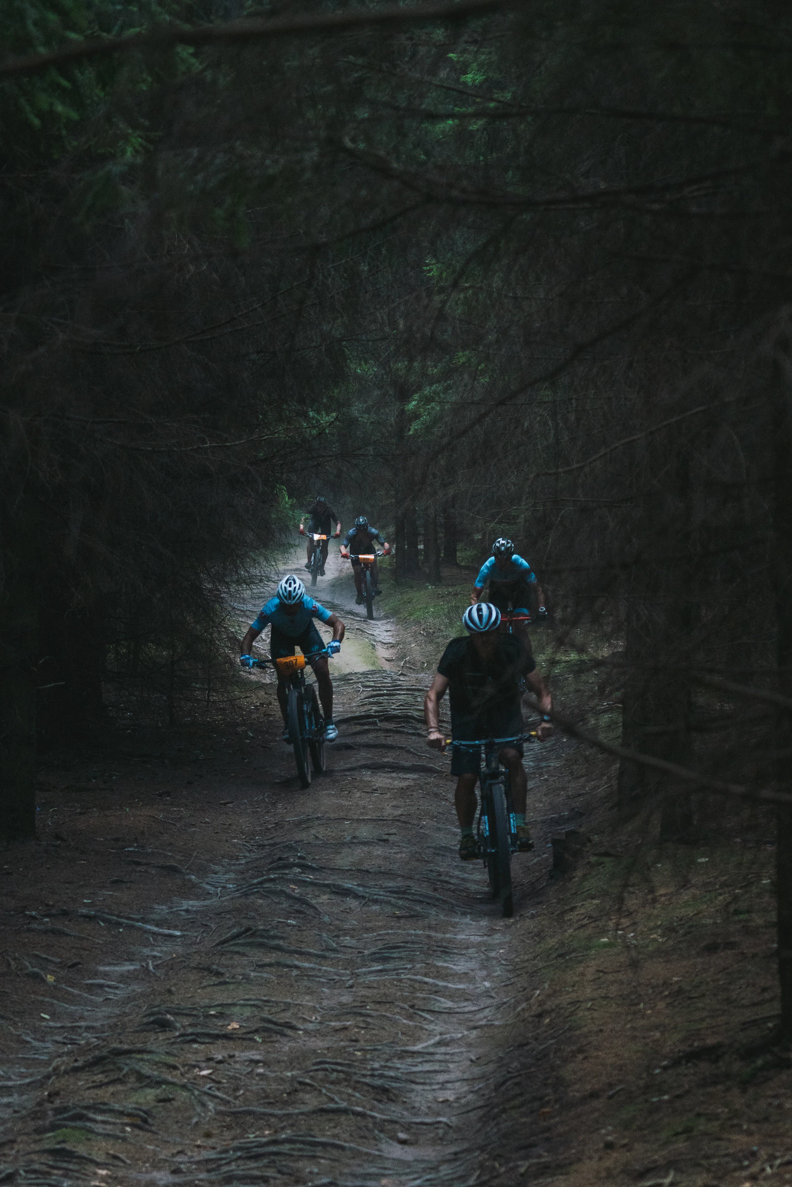 Rodada grupal de Verdín Bike Garage en la montaña
