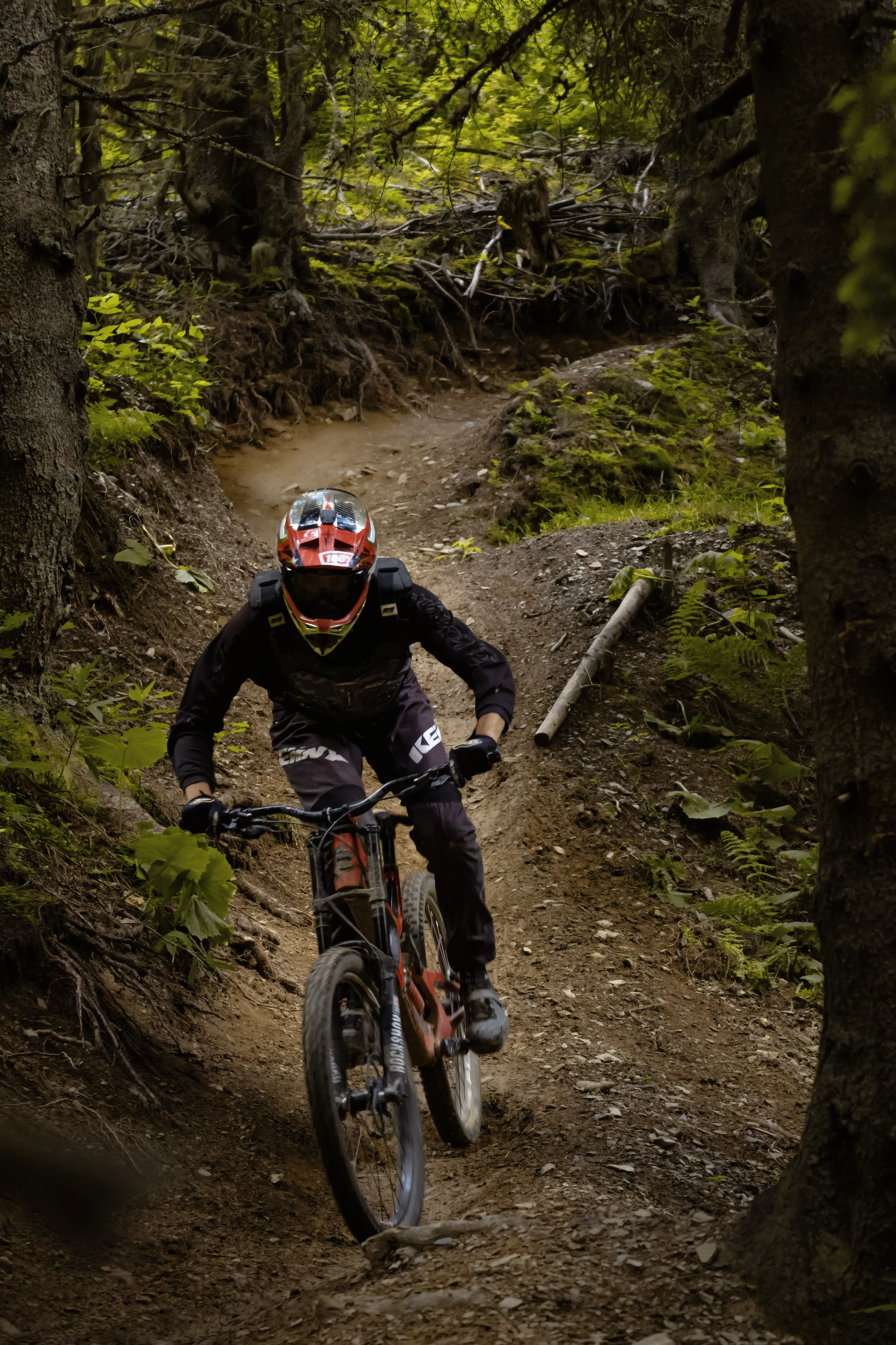 Verdín Bike Garage — Downhill/MTB y taller